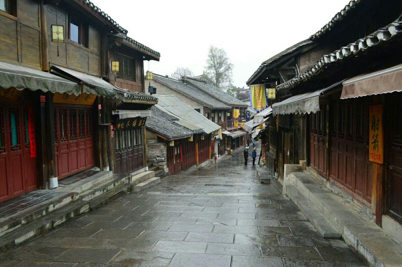 西藏宝塔花是真的吗游戏画面